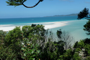 海岸风光 绿树环绕的蓝色海域