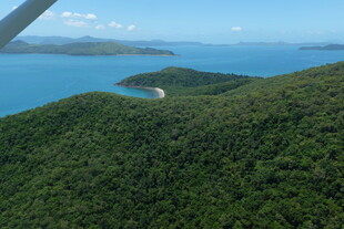 俯瞰碧海青山岛屿美景