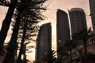 黄昏下的城市与林立树木