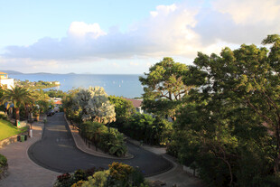 海滨绿树环绕的美丽景致