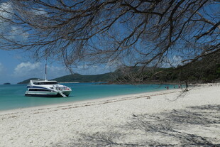 美丽海滩上的白色游艇