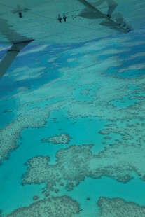 俯瞰美丽海底珊瑚景观