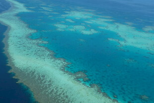 俯瞰美丽的蓝色珊瑚礁