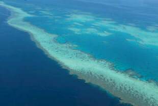 蔚蓝海洋中的美丽珊瑚礁