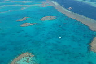 美丽珊瑚海的迷人岛屿