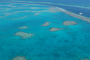 美丽清澈的海底珊瑚景观