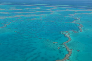 美丽蓝色海洋中的珊瑚礁