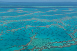 美丽的蓝色珊瑚礁海域