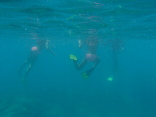 水下畅游的潜水爱好者