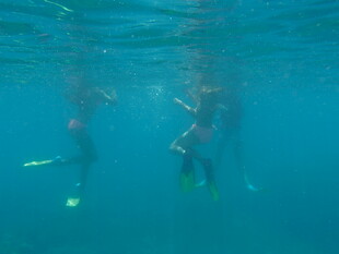 水下浮潜者的美妙瞬间