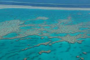 俯瞰美丽的蓝色珊瑚礁群