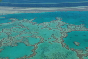 俯瞰美丽珊瑚礁景观