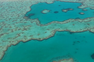 美丽的海底珊瑚礁景观