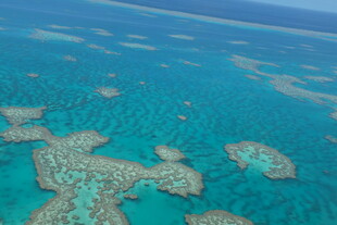 美丽珊瑚礁海洋景观