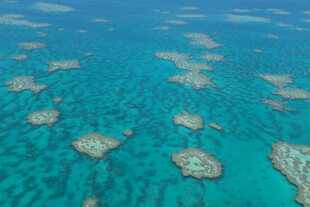 美丽海岛浅海珊瑚礁景观