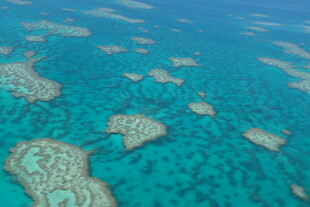 美丽的海底珊瑚礁景观