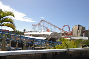 游乐园中的多彩过山车景观