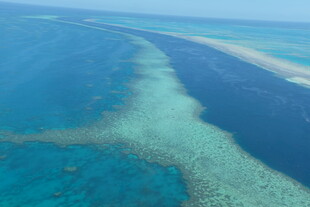 俯瞰美丽的海洋珊瑚礁