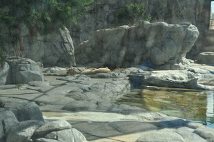 山间石畔的清幽小水潭