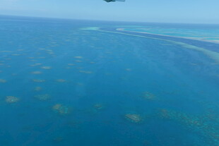 俯瞰蔚蓝海洋中的珊瑚礁