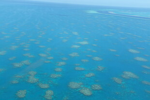 俯瞰蓝色海洋中的珊瑚礁