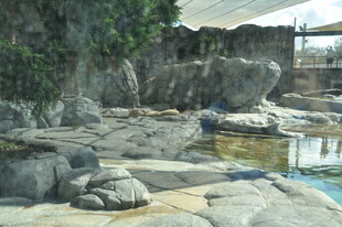 动物园内的岩石与水域景观