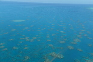 俯瞰蓝色海洋与珊瑚礁