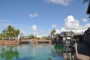 热带风情泳池景观