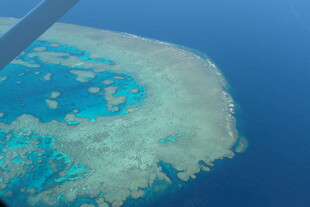 俯瞰美丽的海洋珊瑚礁