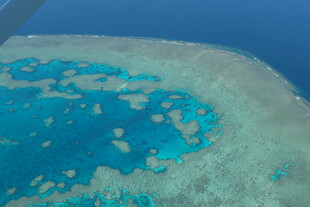 美丽珊瑚礁海域景观