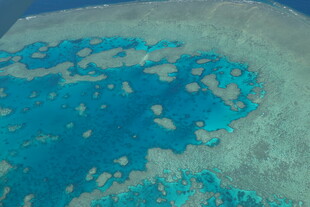 俯瞰绚丽多彩的海底珊瑚