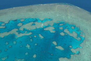 美丽蓝色珊瑚礁海域景象