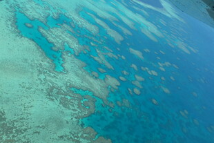 俯瞰绚丽多姿的海底世界