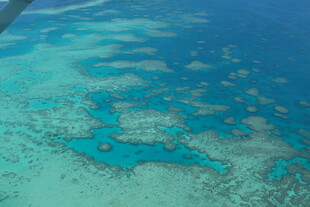 俯瞰美丽的海底珊瑚礁