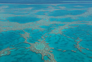 美丽海底珊瑚景观