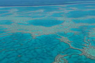 清澈海域中的美丽珊瑚礁