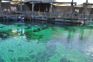 清澈碧绿的水上古老建筑