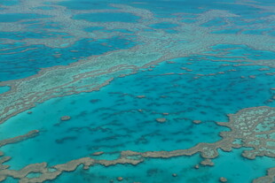 美丽的海底珊瑚礁景观