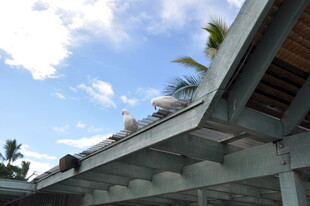 现代风格露台建筑一角