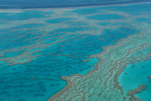美丽的蓝色珊瑚礁海域