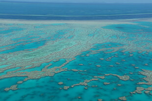 俯瞰美丽斑斓的海底珊瑚