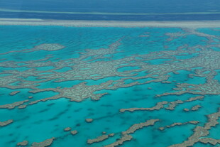 美丽壮观的蓝色珊瑚礁海域