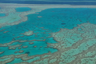 美丽的海底珊瑚礁景观