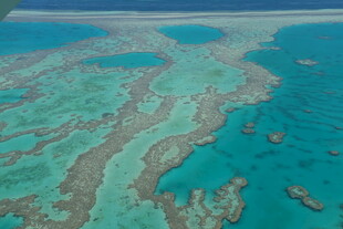 俯瞰美丽的海底珊瑚礁