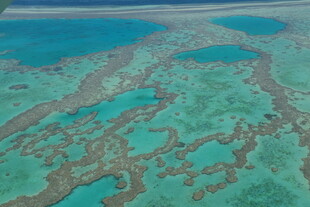 俯瞰美丽斑斓的海底珊瑚礁