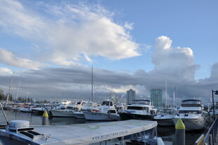 宁静码头停泊多艘船只