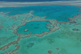 美丽的海底珊瑚礁景观