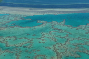 俯瞰美丽的珊瑚礁海域