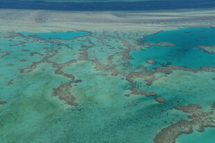 美丽海岛珊瑚礁景观