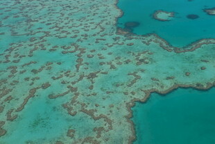 俯瞰绚丽多彩的海底珊瑚